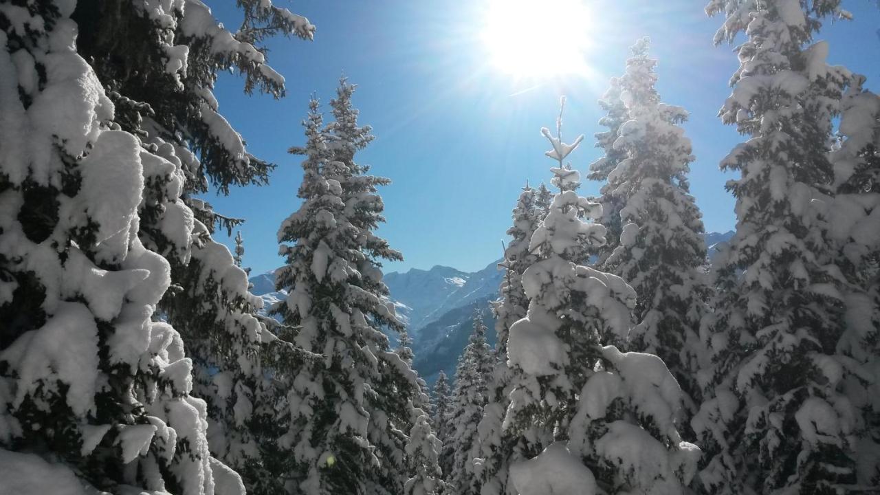 Haus Renswouw Hotell Hollersbach im Pinzgau Eksteriør bilde