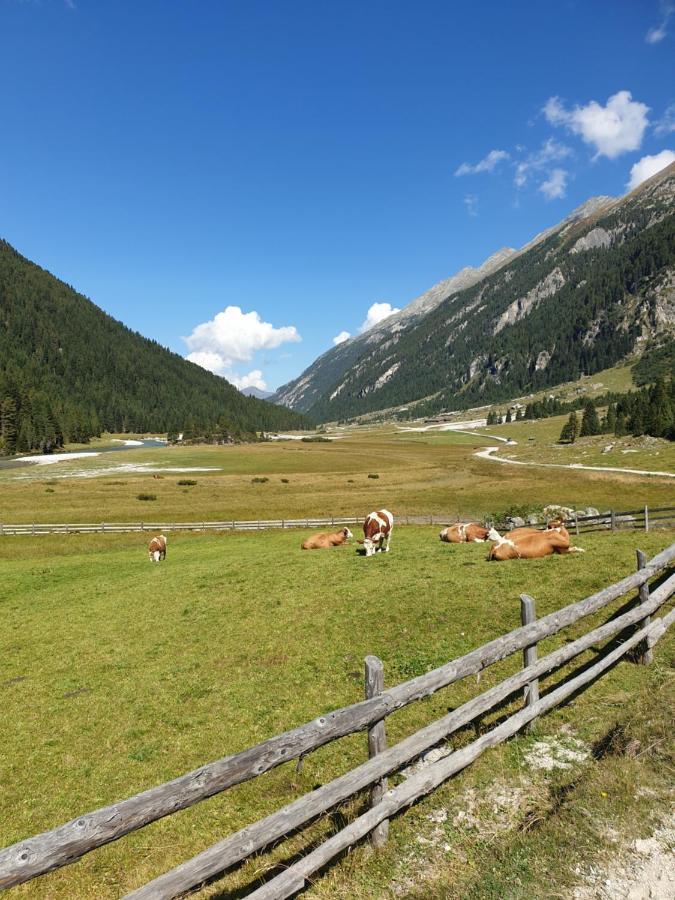 Haus Renswouw Hotell Hollersbach im Pinzgau Eksteriør bilde